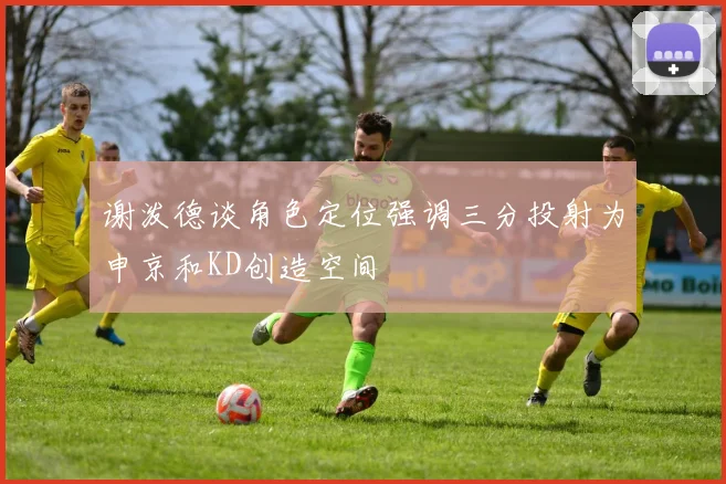 谢泼德谈角色定位强调三分投射为申京和KD创造空间