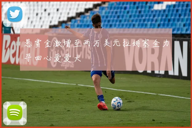悬赏金激增至两万美元拉姆塞全力寻回心爱爱犬