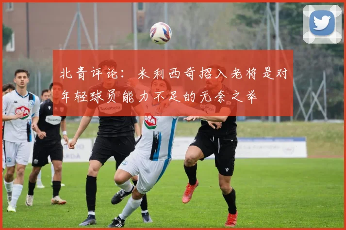 北青评论：米利西奇招入老将是对年轻球员能力不足的无奈之举
