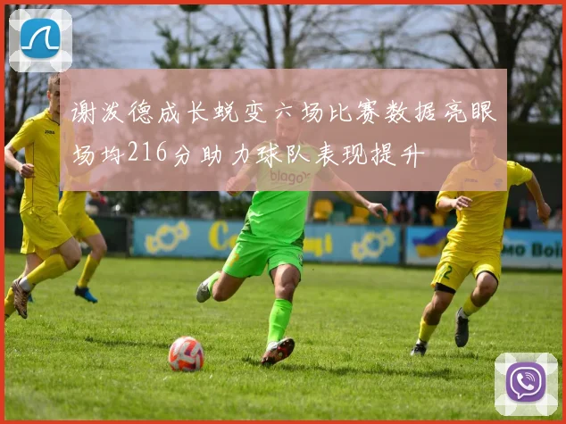 谢泼德成长蜕变六场比赛数据亮眼场均216分助力球队表现提升