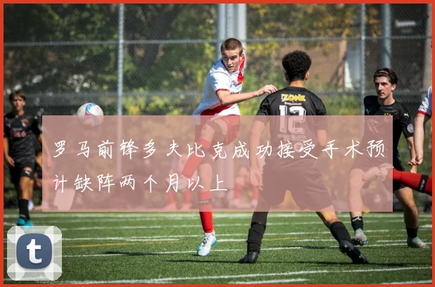 罗马前锋多夫比克成功接受手术预计缺阵两个月以上